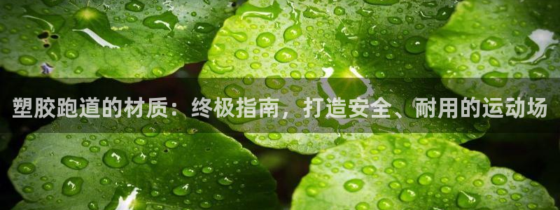 z6尊龙凯时旗舰厅：塑胶跑道的材质：终极指南，打造安