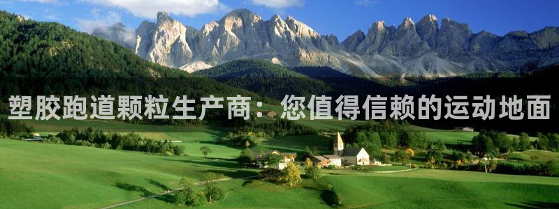 尊龙人生就是博l：塑胶跑道颗粒生产商：您值得信赖的运动地面