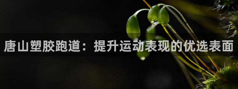 尊龙信息科技有限公司：唐山塑胶跑道：提升运动表现的优