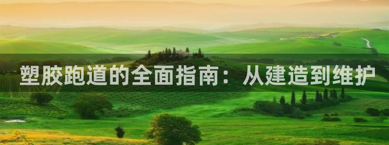 尊龙凯时账号异常审核提不了款怎么办： 塑胶跑道的全面指南：从建造到维护