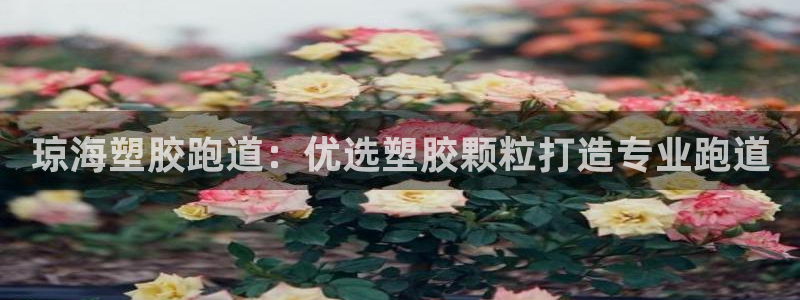 尊龙集团有限公司官网地址：琼海塑胶跑道：优选塑胶颗粒