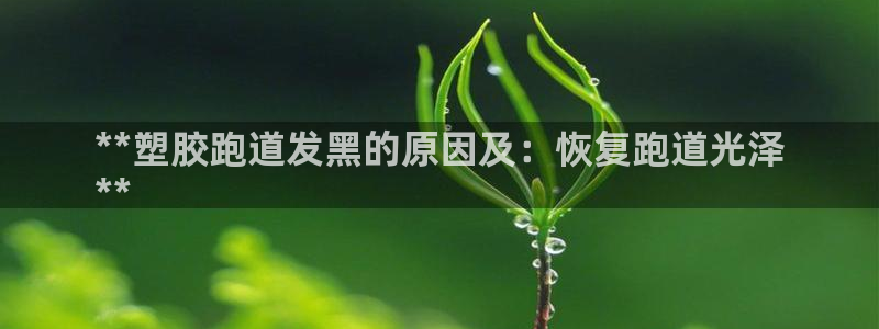 尊龙凯时老板：**塑胶跑道发黑的原因及：恢复跑道光泽