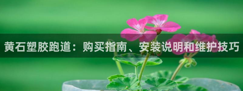 凯时国际官方版：黄石塑胶跑道：购买指南、安装说明和维护技巧