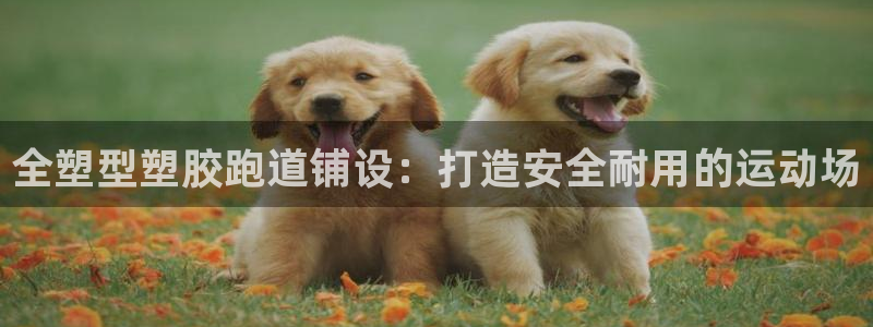尊龙凯时提不了款：全塑型塑胶跑道铺设：打造安全耐用的