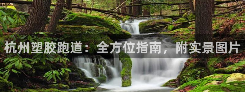 尊龙凯时台子：杭州塑胶跑道：全方位指南，附实景图片
