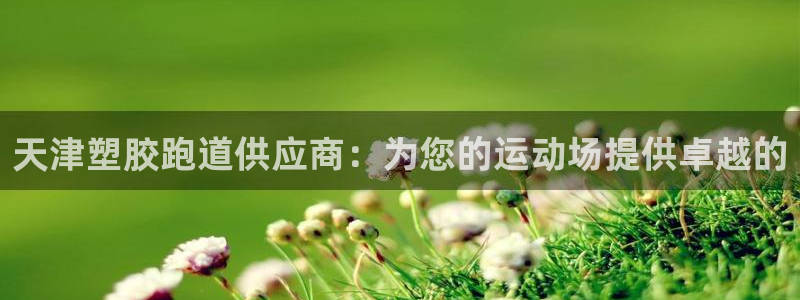尊龙目前情况：天津塑胶跑道供应商：为您的运动场提供卓越的
