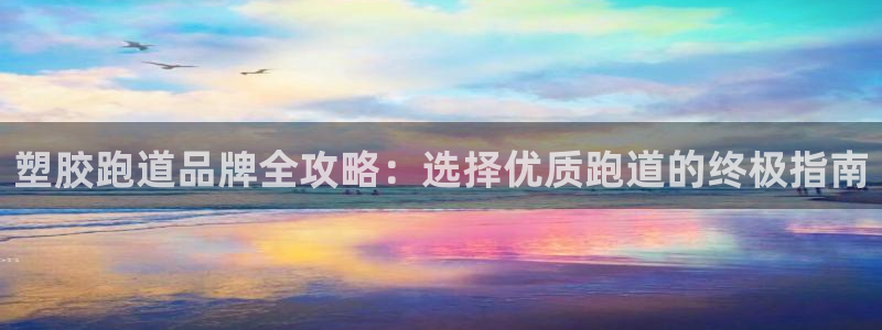尊龙体育电竞官网：塑胶跑道品牌全攻略：选择优质跑道的终极指南