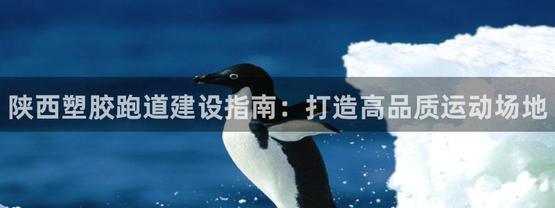 d88尊龙平台开户：陕西塑胶跑道建设指南：打造高品质运动场地