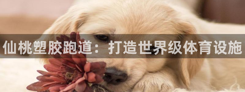 kb88凯时SO权威AG发财网：仙桃塑胶跑道：打造世界级体育设施