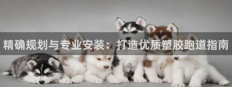尊龙凯时有没有出不了款的情况