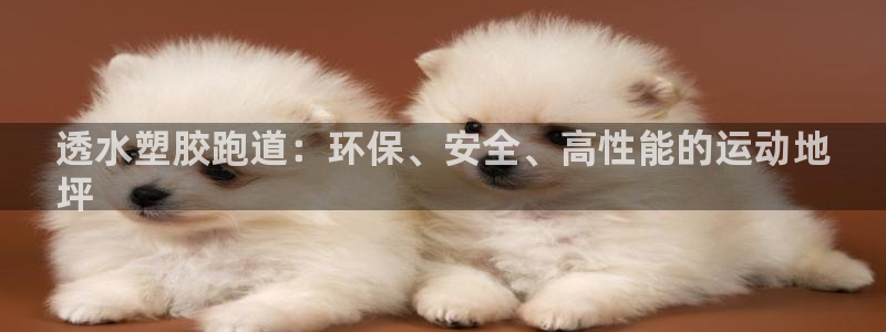 d88尊龙平台开户：透水塑胶跑道：环保、安全、高性能