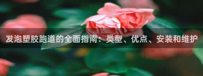 尊龙d88平台登录：发泡塑胶跑道的全面指南：类型、优点、安装和维护
