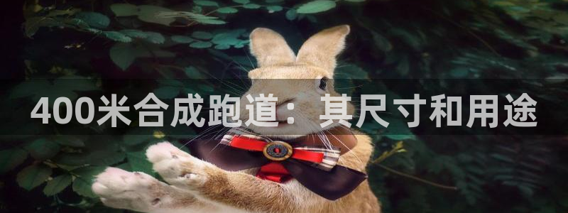 尊龙官网首页：400米合成跑道：其尺寸和用途