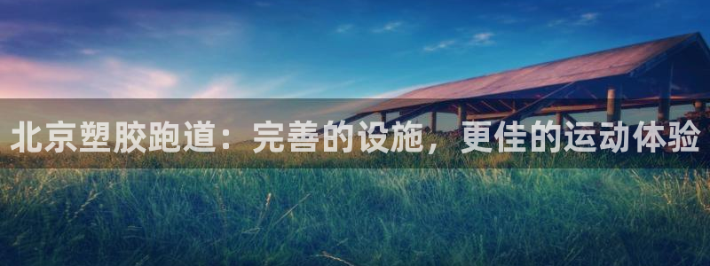 尊龙Ag：北京塑胶跑道：完善的设施，更佳的运动体验