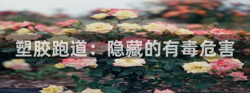 尊龙凯时电竞注册：塑胶跑道：隐藏的有毒危害