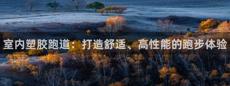 尊龙网址是多少：室内塑胶跑道：打造舒适、高性能的跑步
