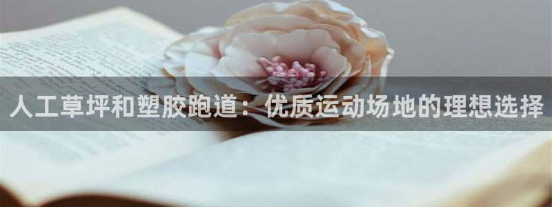 ZL尊龙凯时集团：人工草坪和塑胶跑道：优质运动场地的