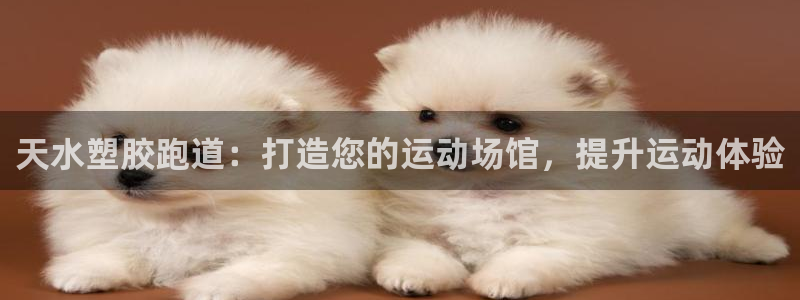 尊龙集团有限公司官网地址：天水塑胶跑道：打造您的运动