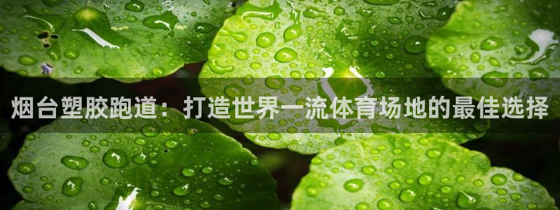 尊龙网页：烟台塑胶跑道：打造世界一流体育场地的最佳选择