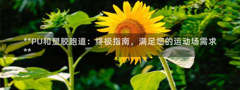 凯时官网手机版下载：**PU和塑胶跑道：终极指南，满足您的运动场需求
**