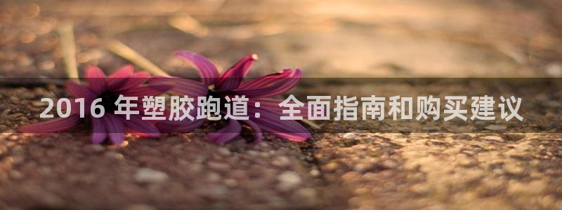 尊龙人生就是博旧：2016 年塑胶跑道：全面指南和购