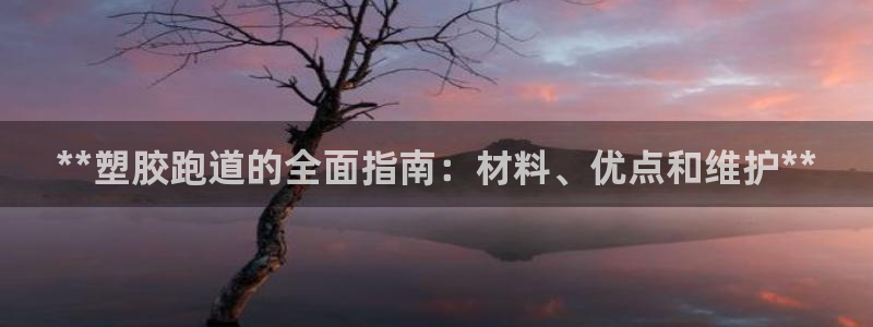 尊龙app最新版本官网