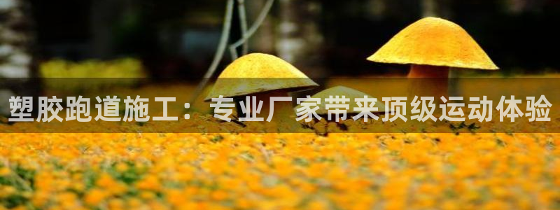 z6尊龙官网平台下载：塑胶跑道施工：专业厂家带来顶级运动体验