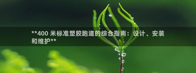 尊龙z6集团：**400 米标准塑胶跑道的综合指南：设计、安装
和维护**