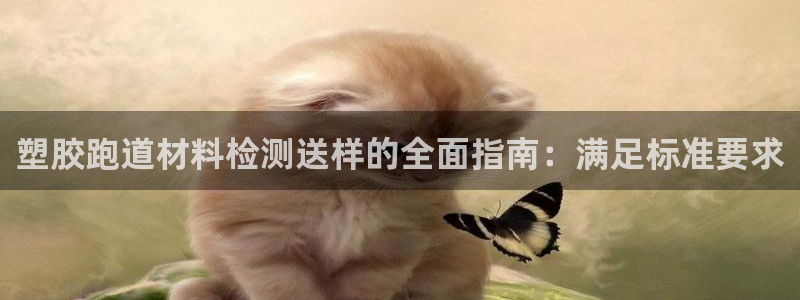 凯时首页登录：塑胶跑道材料检测送样的全面指南：满足标准要求