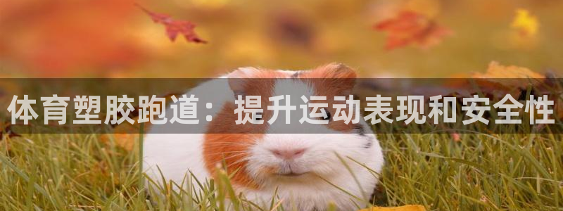 尊龙官方网站是真的吗：体育塑胶跑道：提升运动表现和安