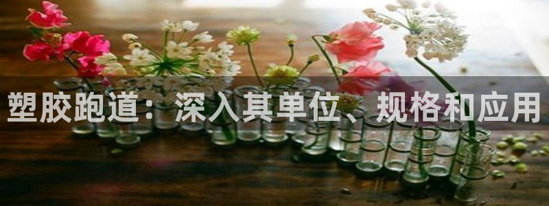 旧版尊龙人生就是博下载：塑胶跑道：深入其单位、规格和
