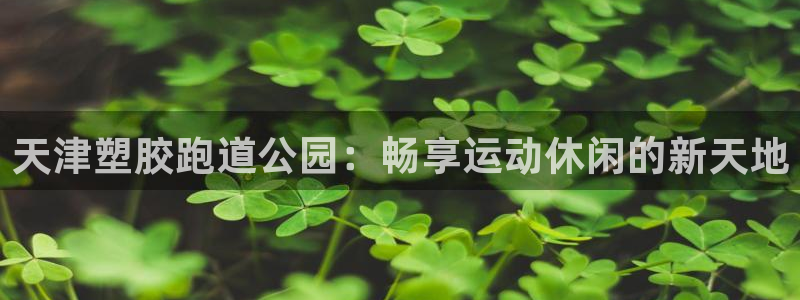 尊龙凯时的钱能退回来吗：天津塑胶跑道公园：畅享运动休闲的新天地