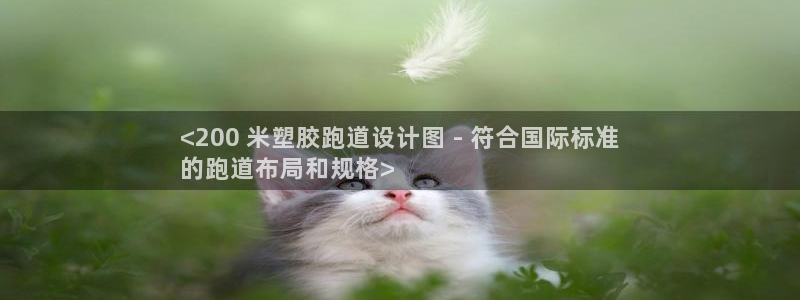 尊龙人生就是博登录网址下载：<200 米塑胶跑道设计图 - 符合国际标准
的跑道布局和规格>
