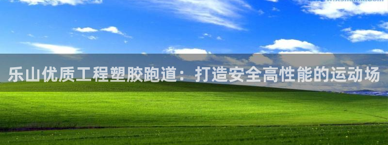 尊龙凯时是哪个国家的：乐山优质工程塑胶跑道：打造安全高性能的运动场