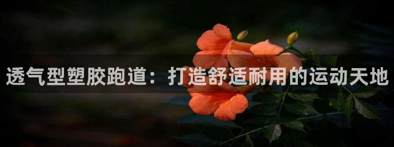 Z6尊龙凯时官方：透气型塑胶跑道：打造舒适耐用的运动天地
