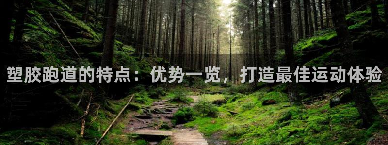 尊龙人生就是博官网登录手机：塑胶跑道的特点：优势一览，打造最佳运动体验