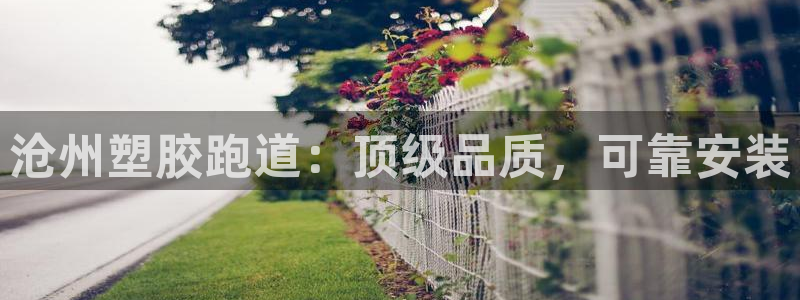 有人在凯时赢过钱吗：沧州塑胶跑道：顶级品质，可靠安装