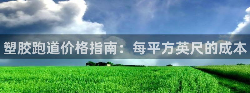 尊龙集团：塑胶跑道价格指南：每平方英尺的成本