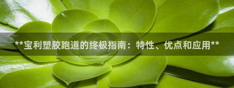 z6尊龙平台是哪里的：**宝利塑胶跑道的终极指南：特性、优点和应用**