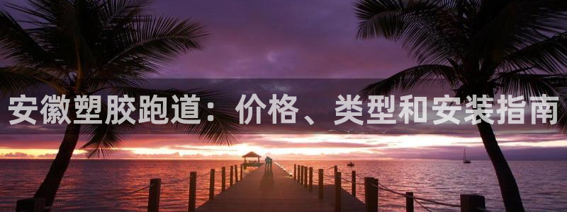 尊龙手机版下载：安徽塑胶跑道：价格、类型和安装指南