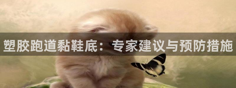 尊龙凯时一人生就是博官网：塑胶跑道黏鞋底：专家建议与预防措施