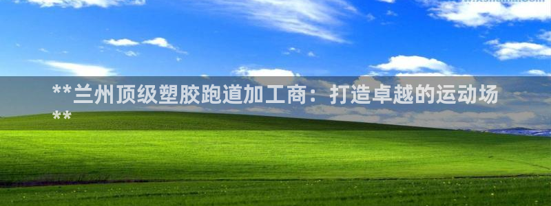 尊龙官网手机版：**兰州顶级塑胶跑道加工商：打造卓越的运动场
**