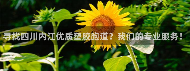 尊龙官网登录·(中国)官方网站-bd SPORTS：寻找四川内江优质塑胶跑道？我们的专业服务！