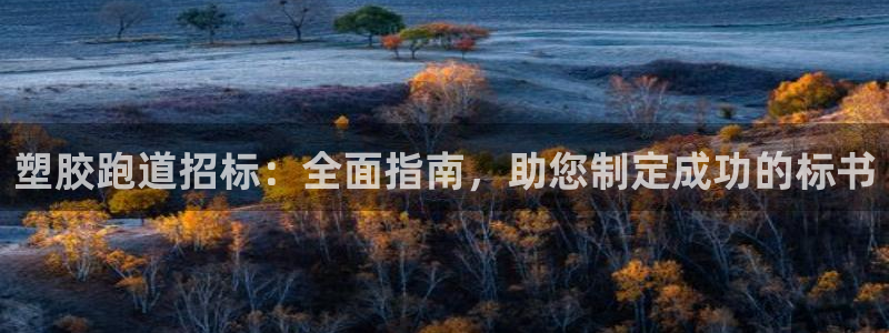 尊龙人生就是博电脑版：塑胶跑道招标：全面指南，助您制定成功的标书