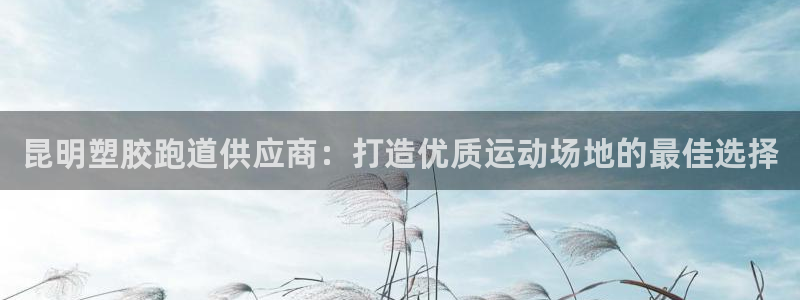 kb88凯时SO权威AG发财网：昆明塑胶跑道供应商：打造优质运动场地的最佳选择