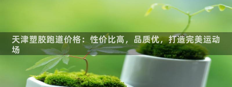 尊龙凯时百家乐手机下载：天津塑胶跑道价格：性价比高，品质优，打造完美运动
场