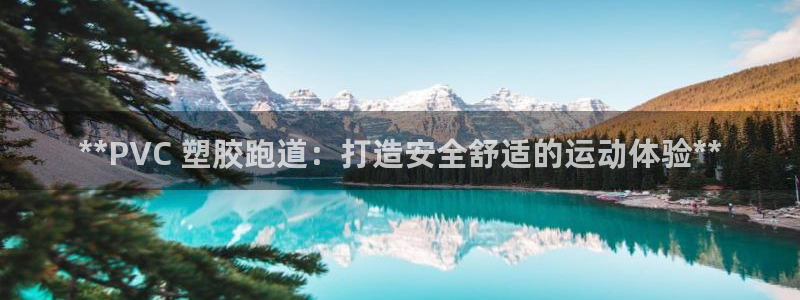 尊龙人生就是博D88：**PVC 塑胶跑道：打造安全舒适的运动体验**