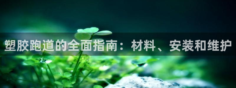 尊龙凯时vip：塑胶跑道的全面指南：材料、安装和维护