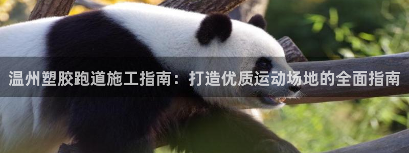 尊龙凯时平台有没有不到账的：温州塑胶跑道施工指南：打造优质运动场地的全面指南