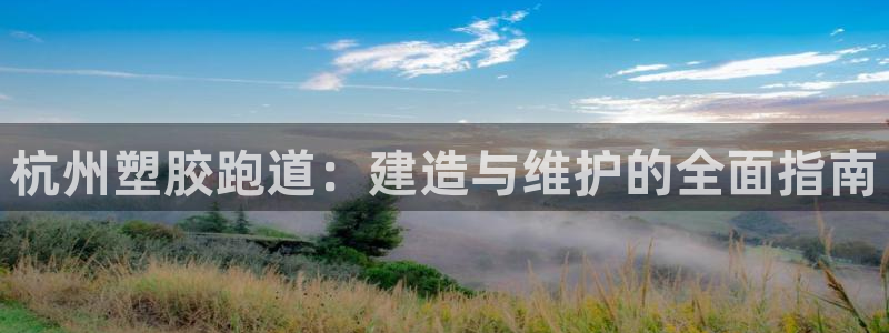 尊龙实业有限公司是正规还是仿：杭州塑胶跑道：建造与维护的全面指南
